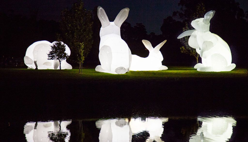 Intrude presented by the Brook Museum of Art at Overton Park, Memphis