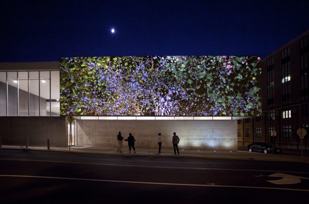 Orbit at Contemporary Art Museum St. Louis, 2013